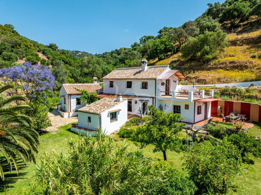 Authentic Finca with Large Plot of Land, Casares