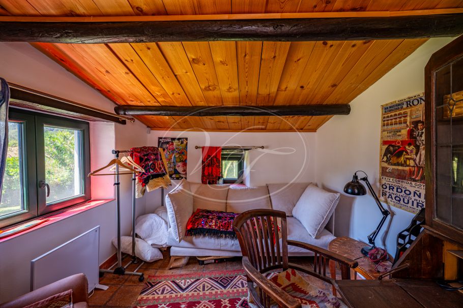 Authentic Finca with Large Plot of Land, Casares