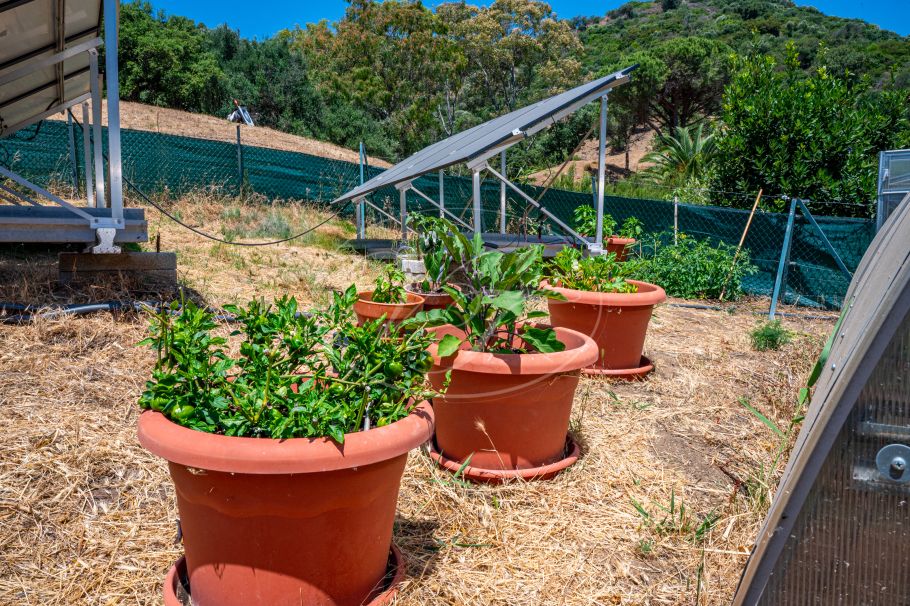 Authentic Finca with Large Plot of Land, Casares