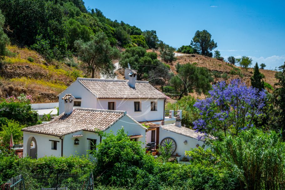 Authentic Finca with Large Plot of Land, Casares