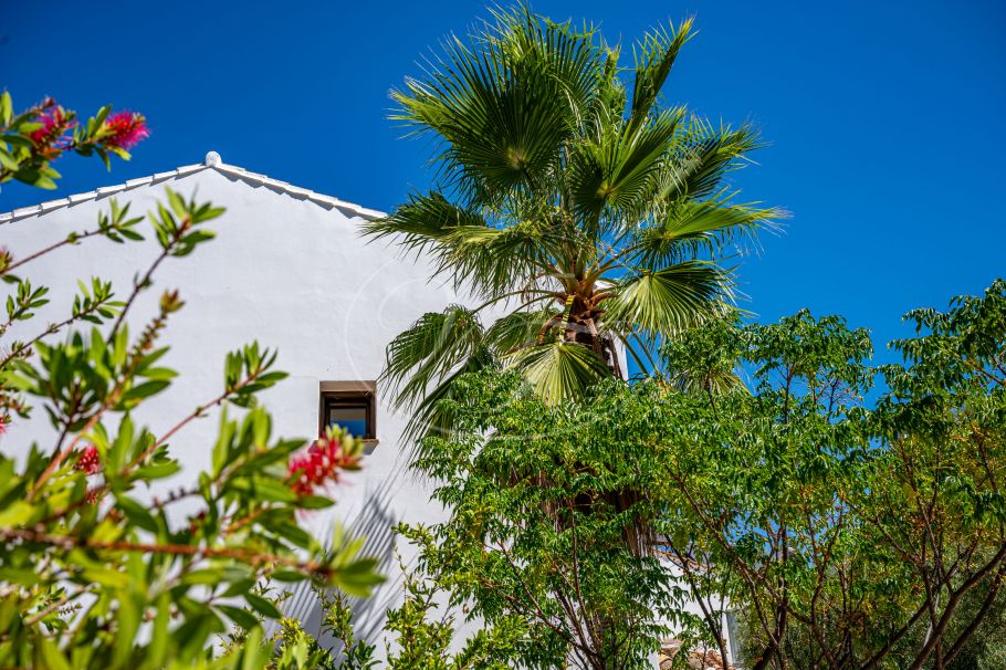 Wunderschönes Landhaus mit spektakulärer Aussicht, Ronda