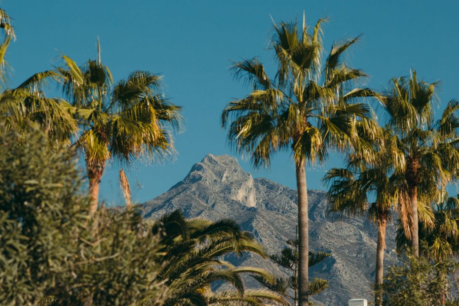 Fotografi av berget La Concha och palmerna från Marbella Golden Mile 