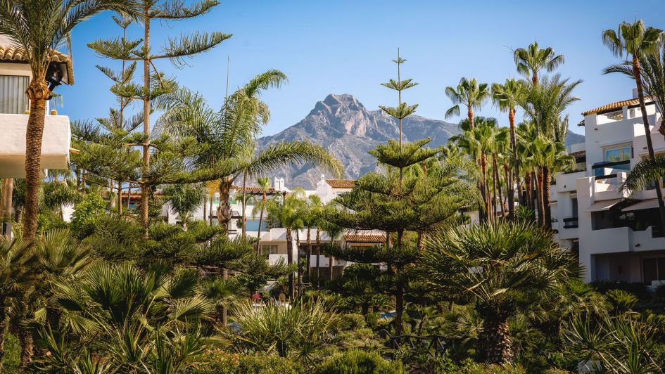 mountain views from puente romano