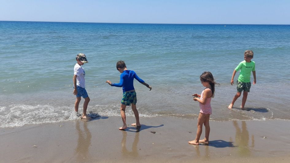 Four children on a calm beach shore