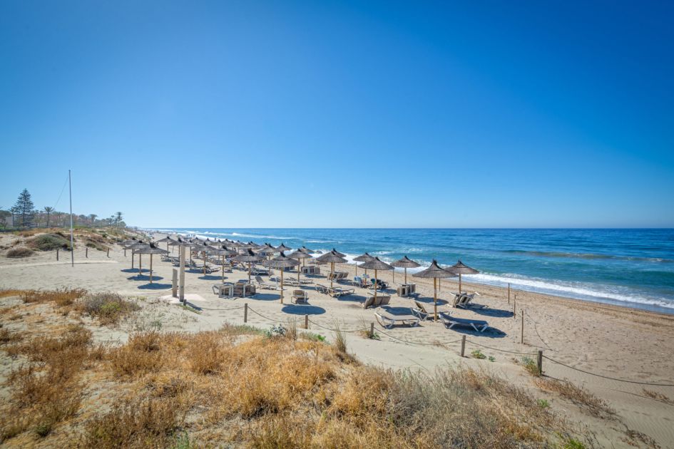 Sunbeds at Palm Beach, Marbella East