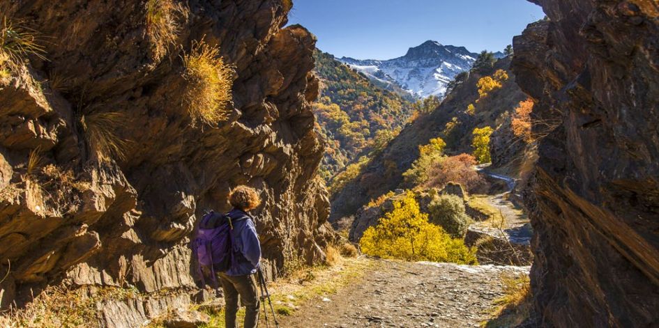 Descubre los senderos naturales