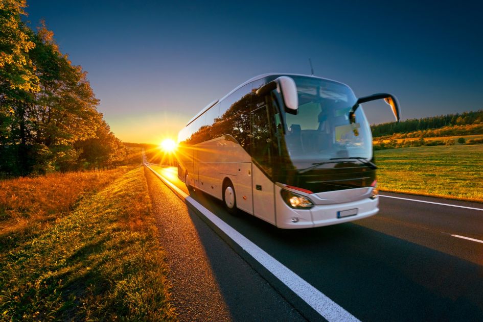 Bus Services