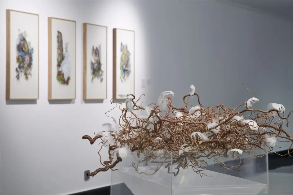 Isolina Arbulu Gallery, Marbella