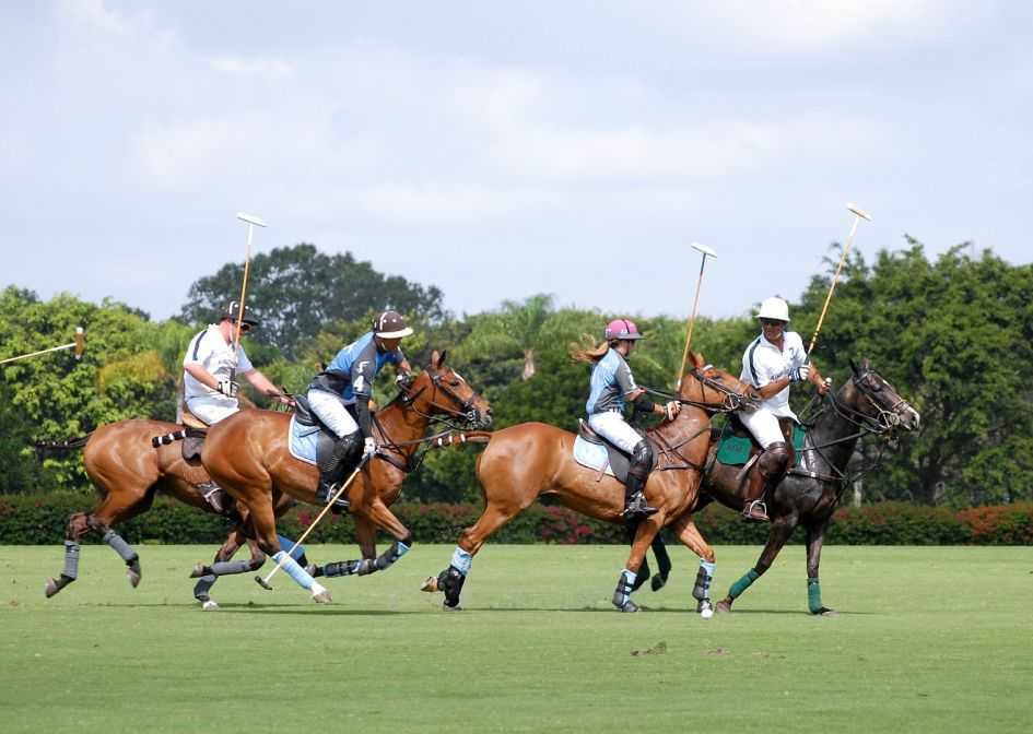 Polo Tournament Sotogrande