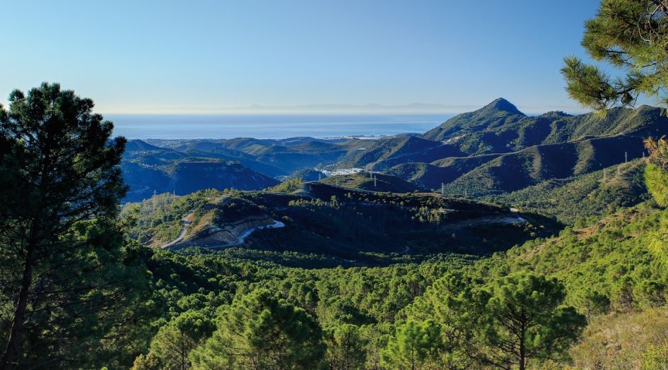 Terrain en vente à La Zagaleta, Benahavis