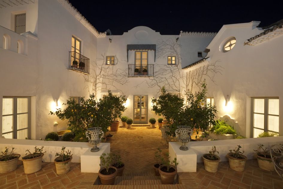 Stately Andalusian