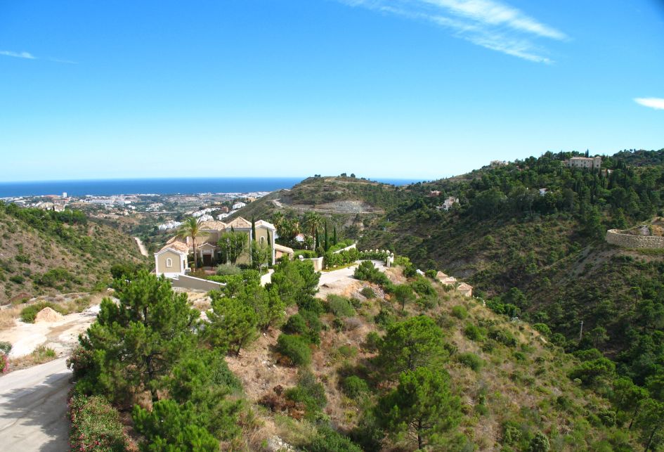 El Madroñal, Benahavis