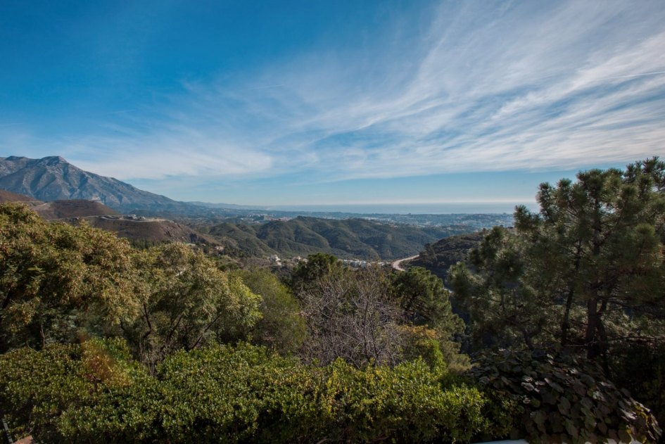 El Madroñal, a pine forested area with views