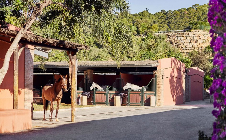 Centro Ecuestre Marbella Club