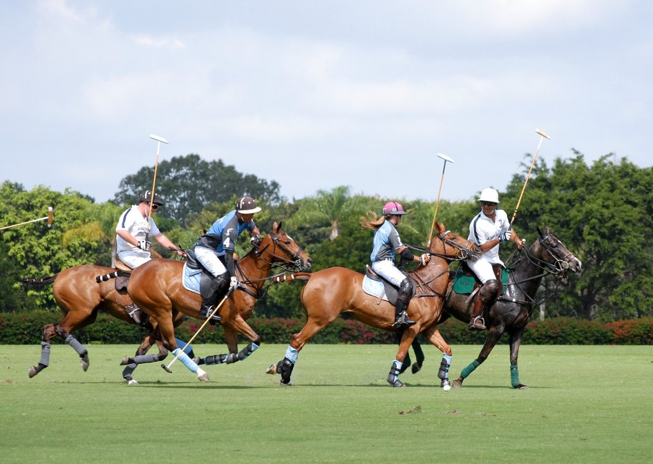 Polo Holmes Sotogrande