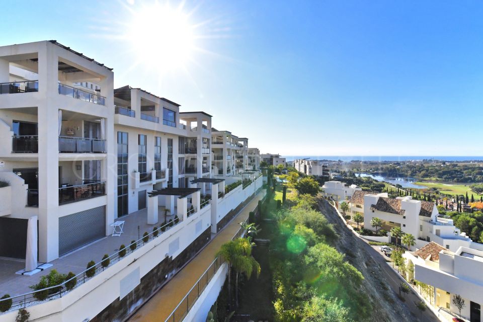 Great apartment in Acosta Los Flamingos.