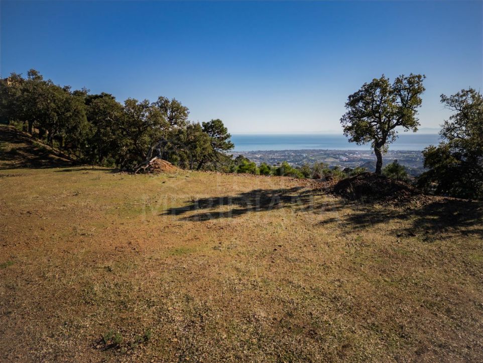 Terrain avec vue sur mer incluant projet, la Zagaleta, Benahavís