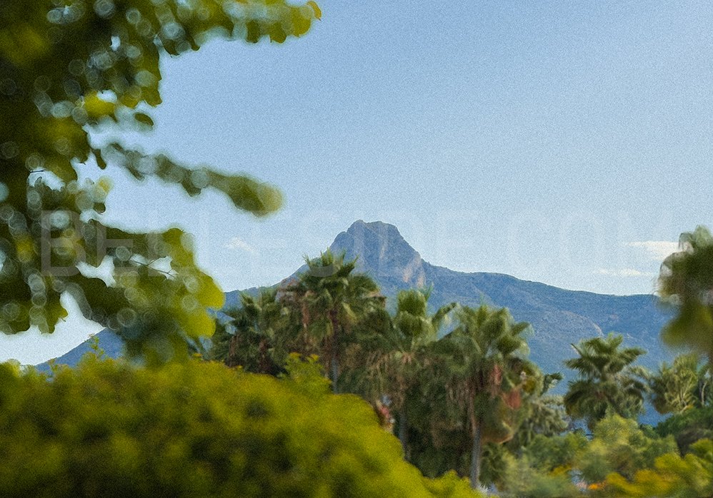 Photograph of La Concha mountain in Marbella with Palms