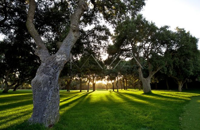 PARCELA EN VENTA EN ALTOS DE VALDERRAMA