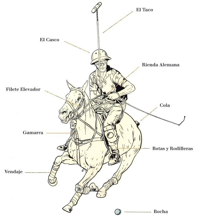 Polo Horse and player