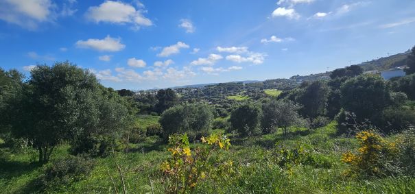 Magnificent plot in La Reserva de Sotogrande,