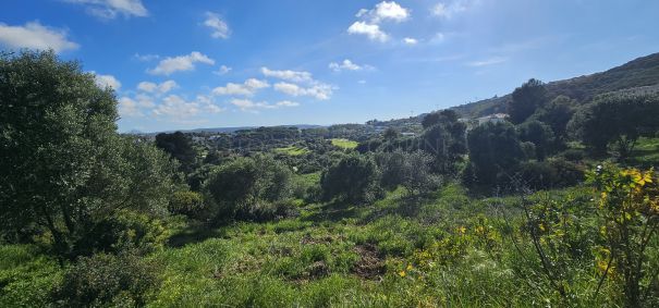 Magnificent plot in La Reserva de Sotogrande,