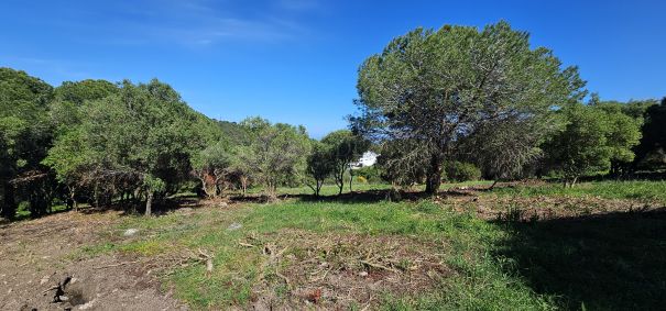 Magnifica parcela en venta