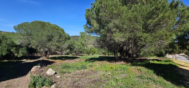 Magnifica parcela en venta