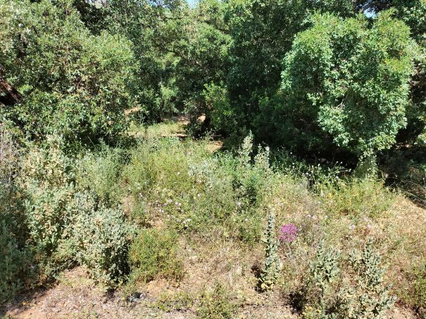 Grundstück zum Verkauf in Zone G, ganz in der Nähe der Internationalen Schule