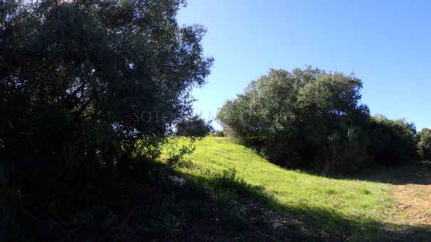 Tolles Grundstück, gut gelegen, super Preis!!