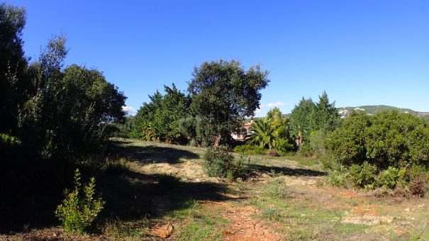 Tolles Grundstück, gut gelegen, super Preis!!