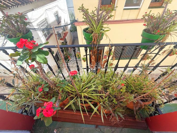 Apartment for sale in Estepona - Estepona Apartment