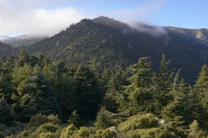 sierra de las nieves