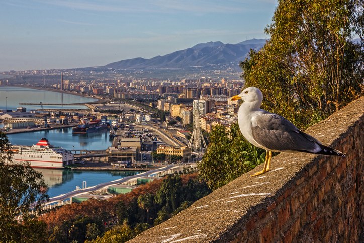 Castillo de Gibralfaro