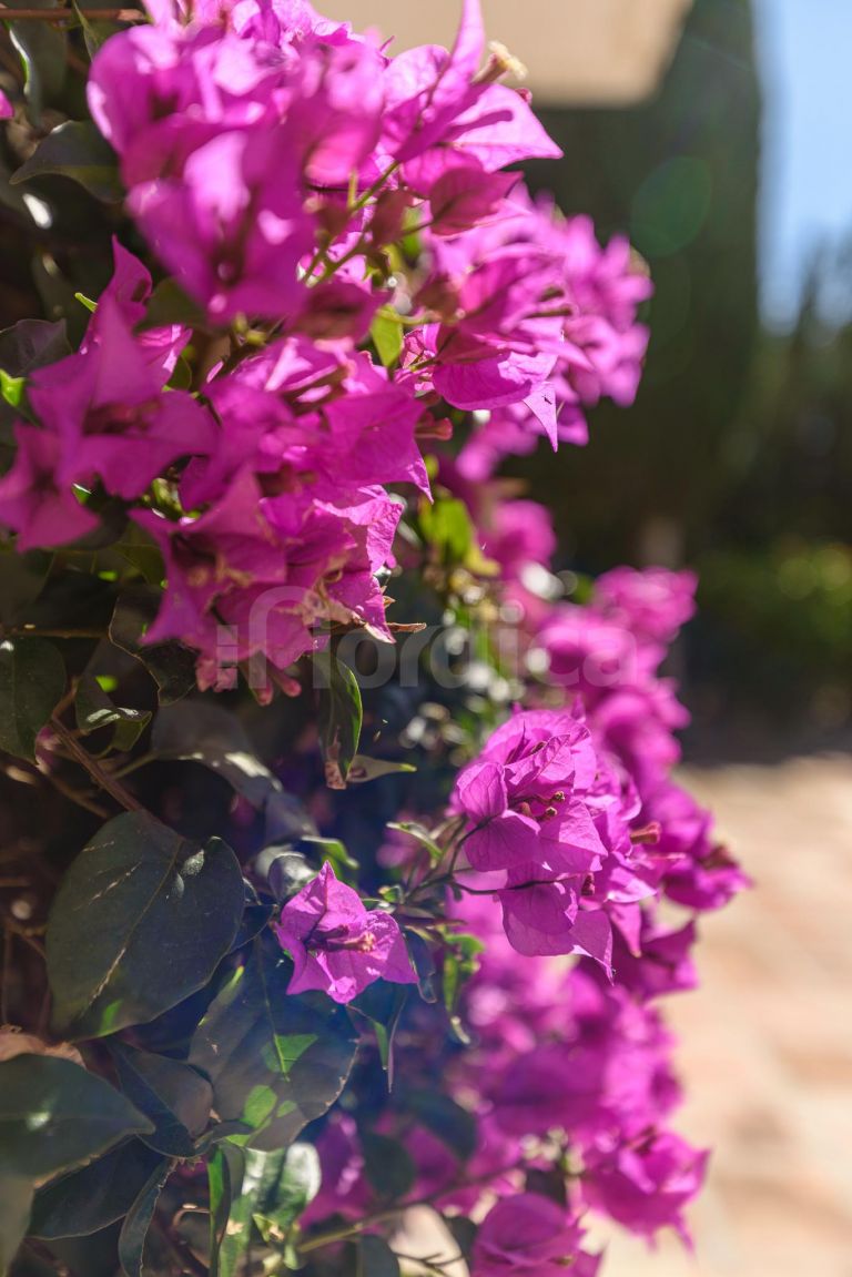 Villa till salu i Nueva Andalucia