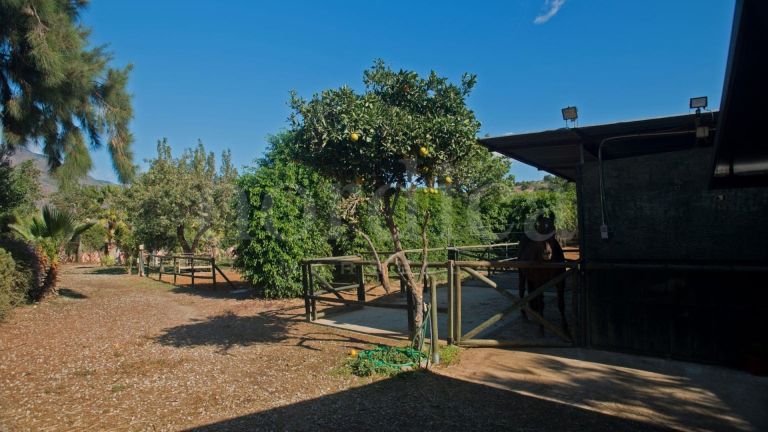Villa a vendre à Guadalobon