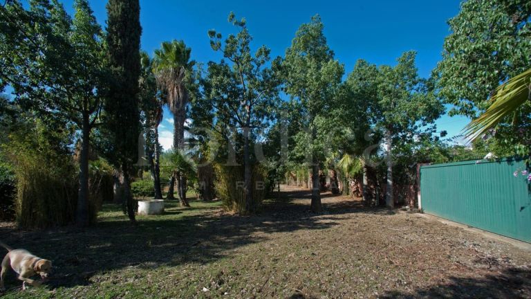 Villa a vendre à Guadalobon