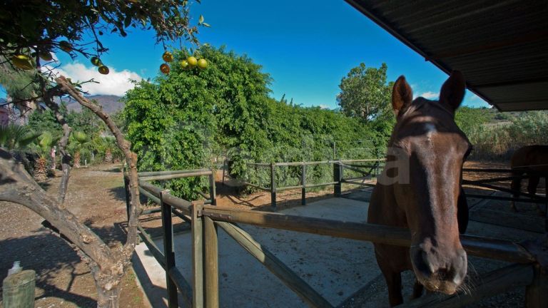 Villa for sale in Guadalobon