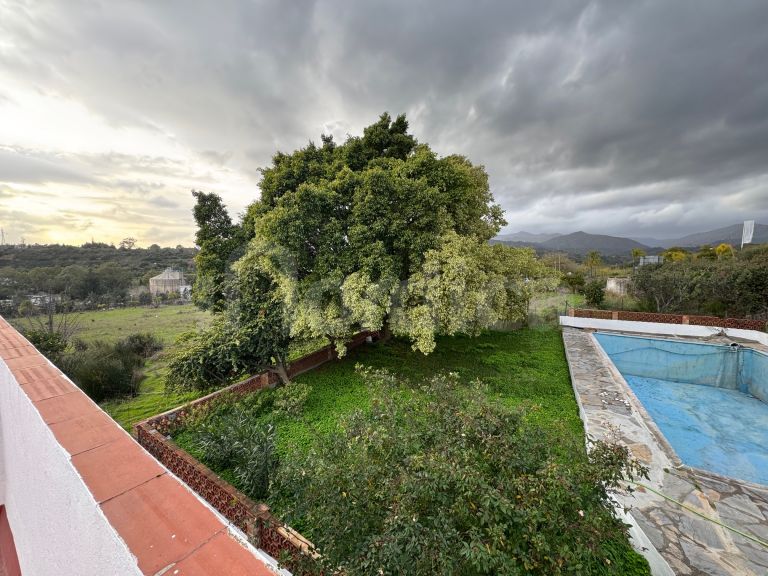 Finca zu verkaufen in Cancelada