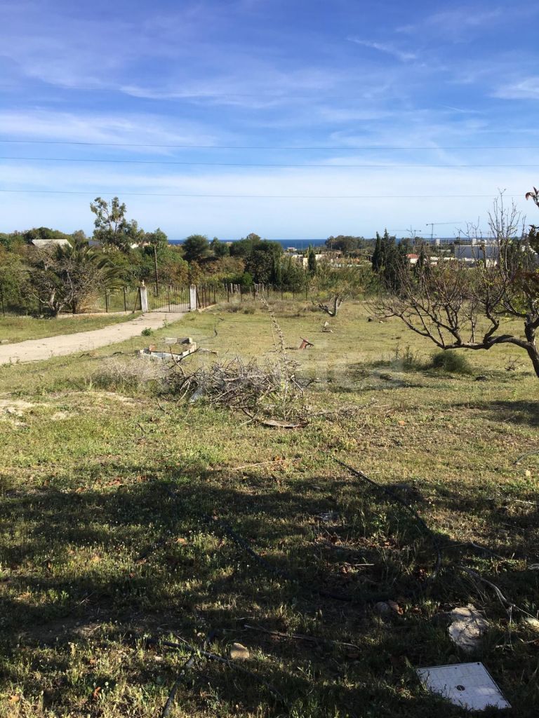 Finca zu verkaufen in Cancelada