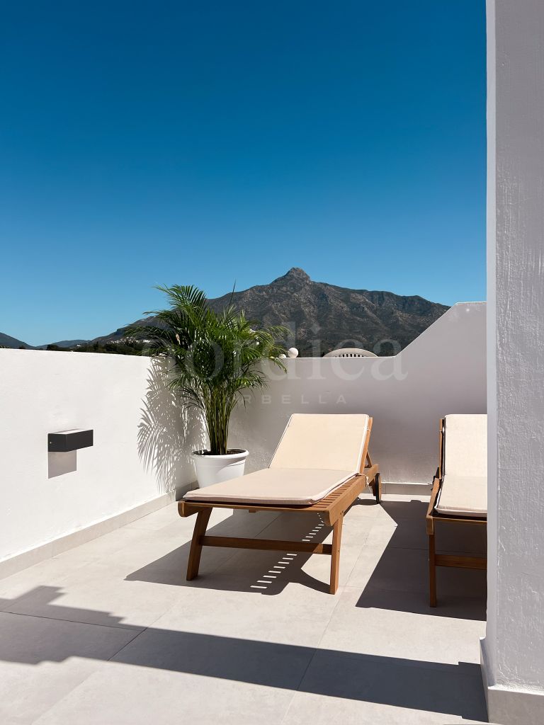 Duplex Penthouse in Aloha Gardens