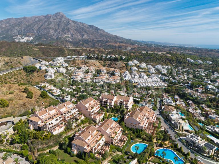 Duplex Penthouse a vendre à Albatross Hill