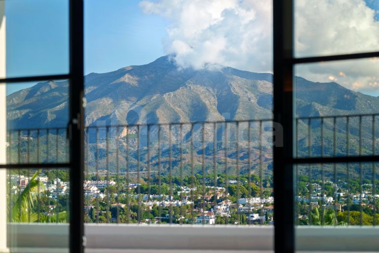 Villa a vendre à Nueva Andalucia