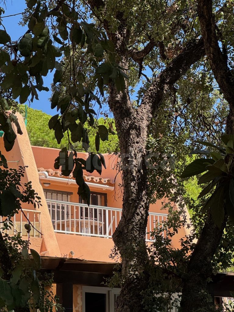 Ground Floor Apartment for sale in Seghers