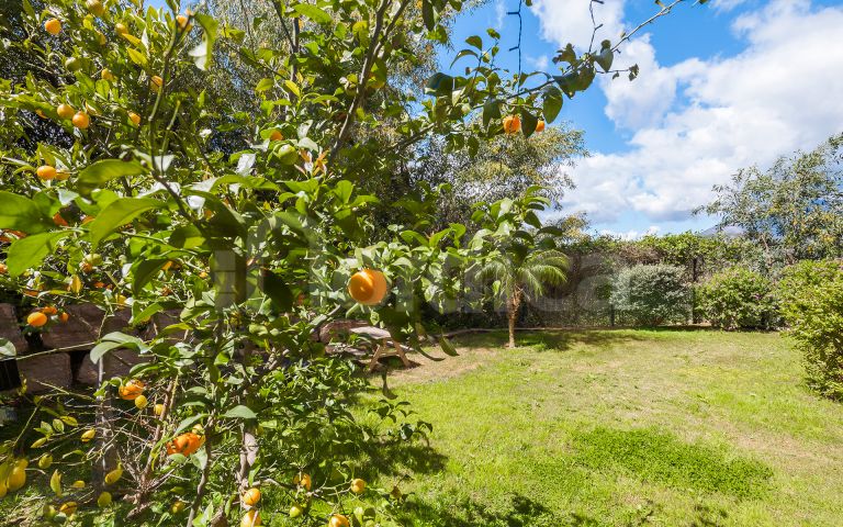 Ground Floor Apartment for sale in Gazules del Sol