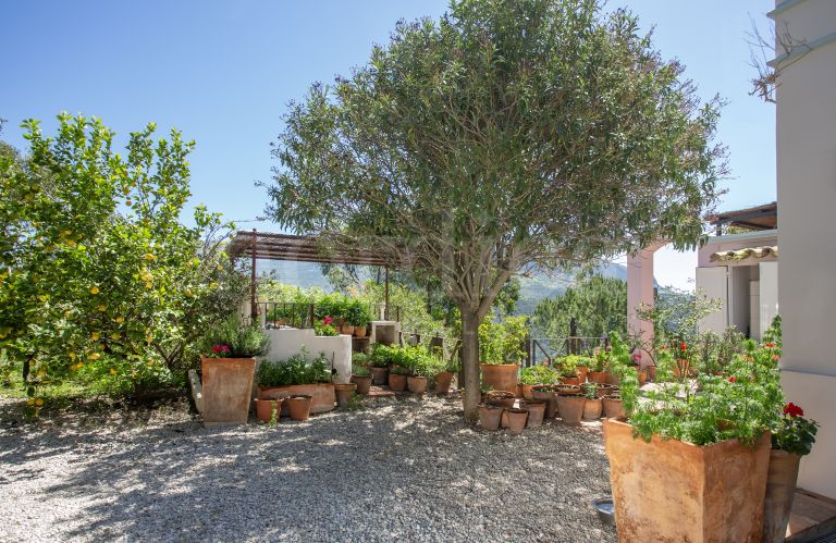 Finca en venta en
