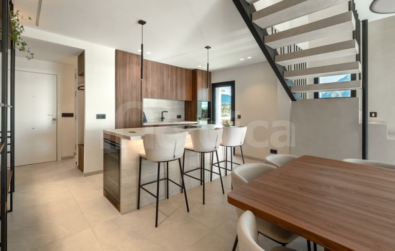 Duplex Penthouse for sale in Las Lolas