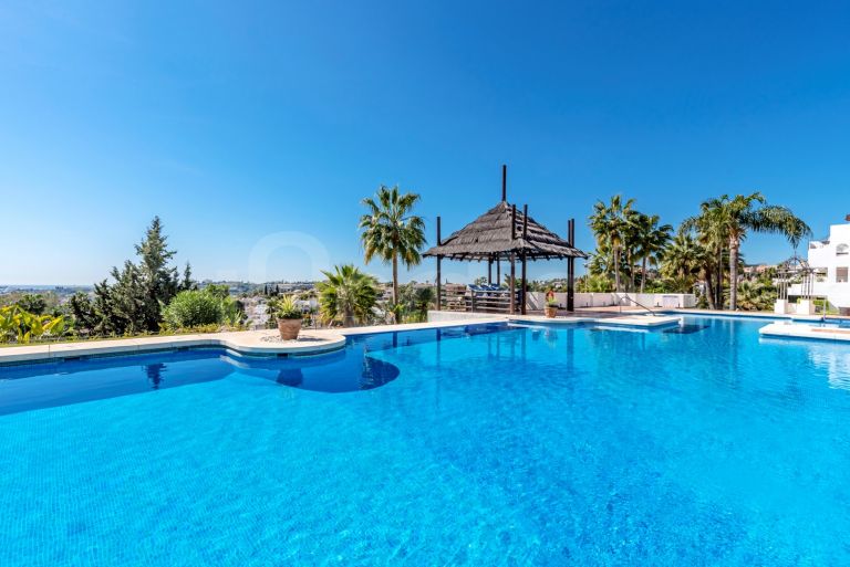 Bright Apartment with Prime Golf Valley Location