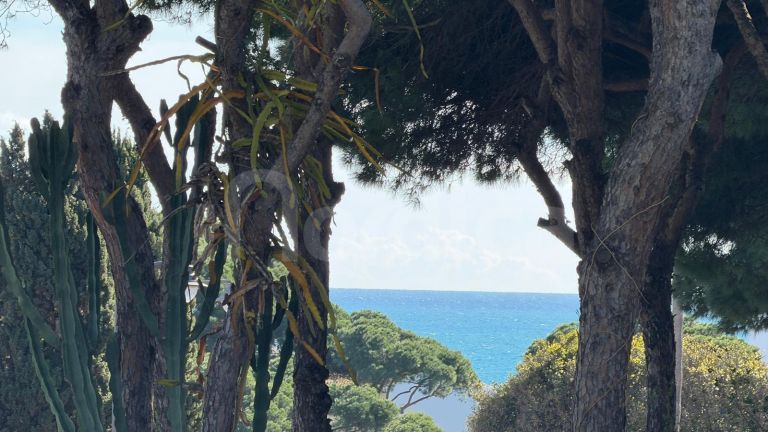 Land with a project and building permit approved