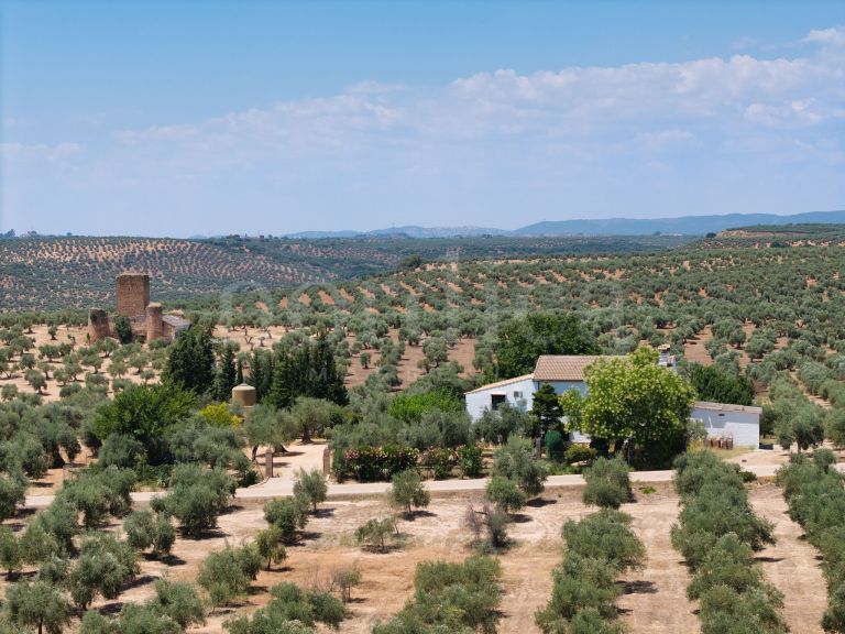 La Aragonesa – An Authentic Andalusian Estate with History and Character
